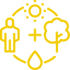 image eco system