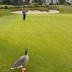 image00016 image00016